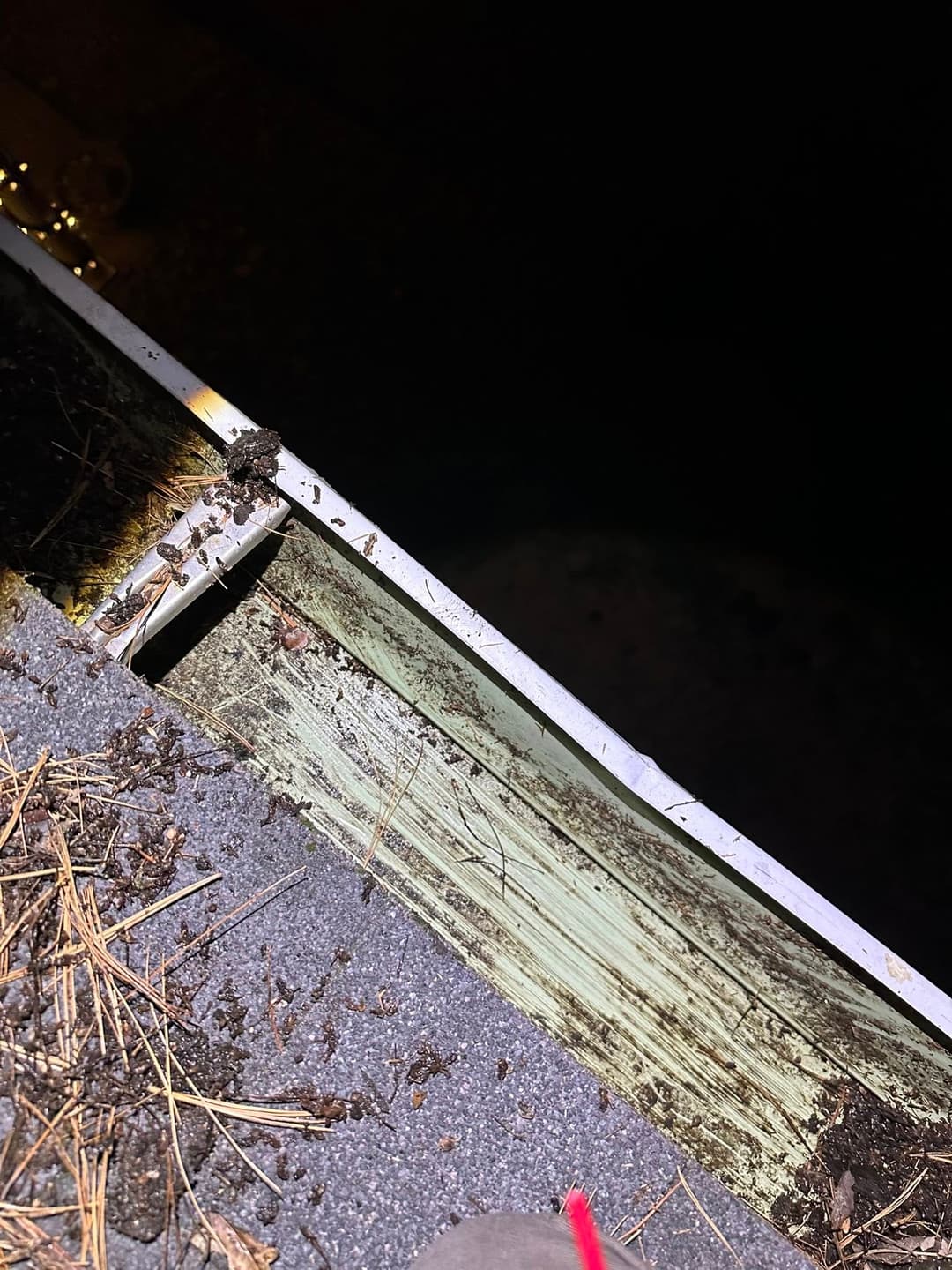 Close-up of a dirty gutter with leaves and debris at night, highlighting maintenance needs.