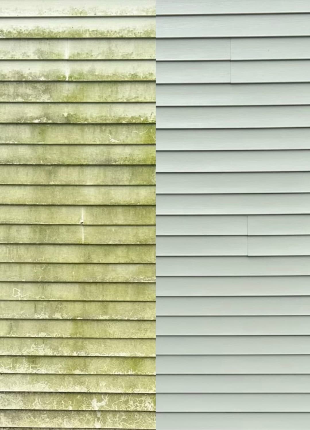 Before and after image of siding: left side shows moldy wood, right side displays clean, painted surface.