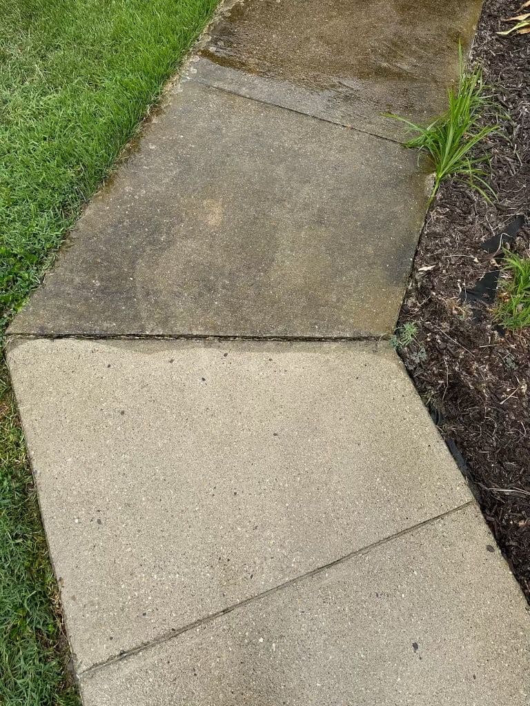 Wet sidewalk transitioning from grass to garden, showing textured concrete and plants.
