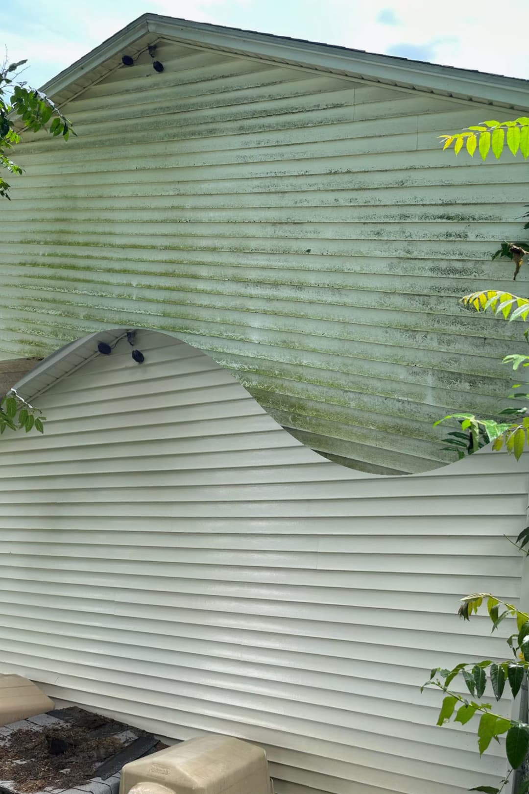 Deteriorating house siding showing mold and warping, highlighting maintenance issues.