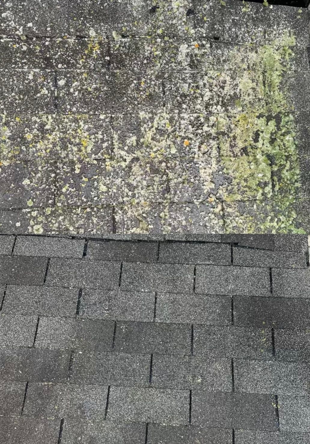 Roof with moss and debris on shingles, highlighting maintenance needs and weather impact.