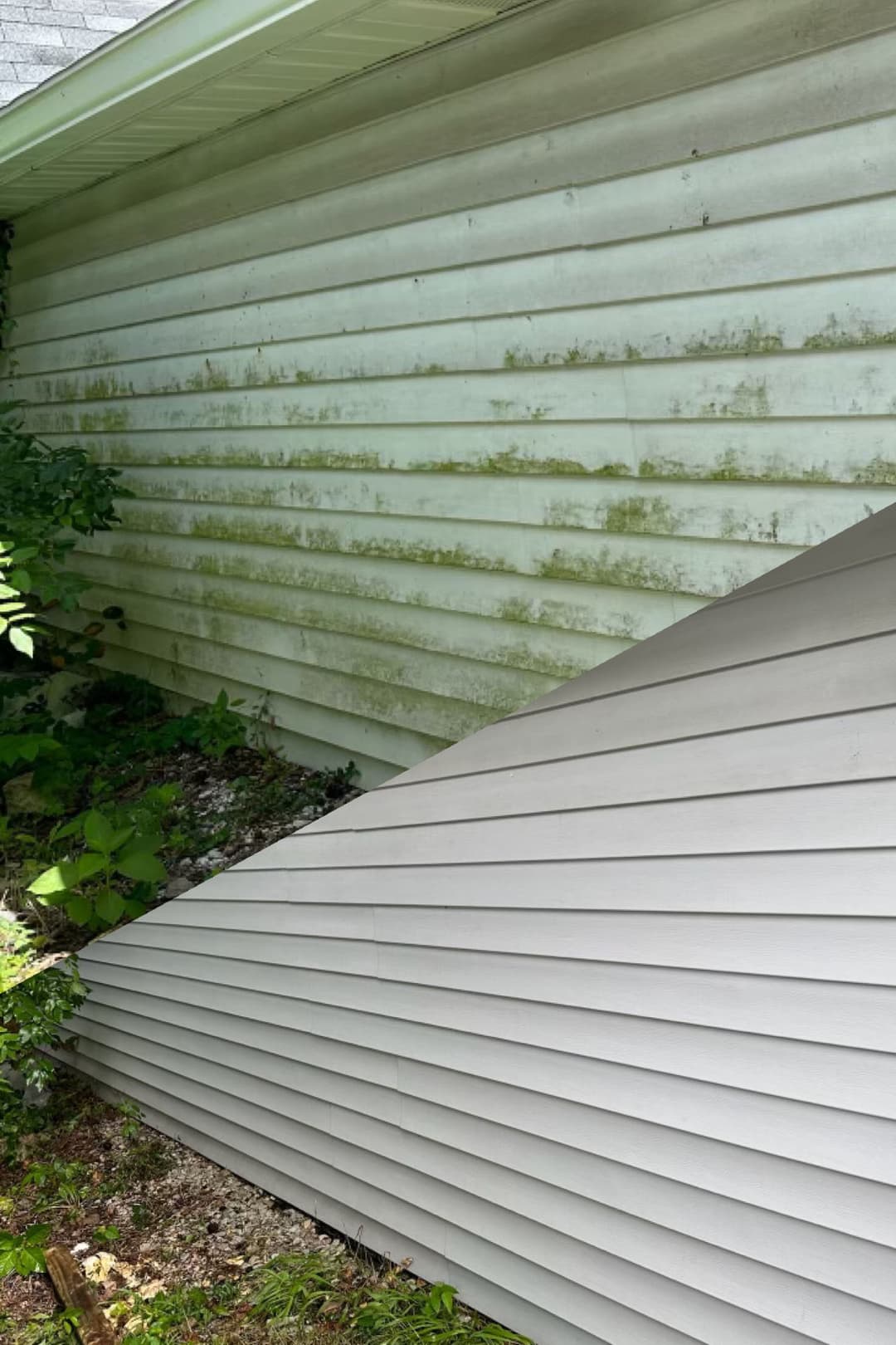 Side view of a house showing dirty siding with mold and clean, new siding contrast.