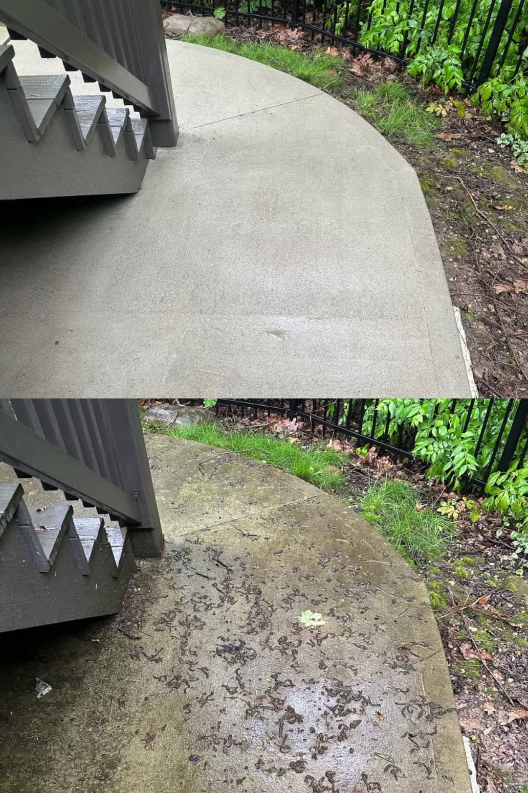 Before and after photo showing clean concrete steps and path beside greenery and stairs.