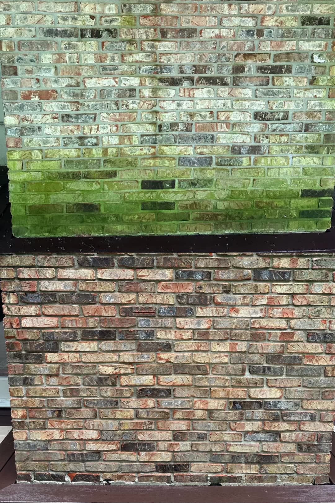 Close-up of textured brick wall with green moss on top layer, showcasing weathered details.
