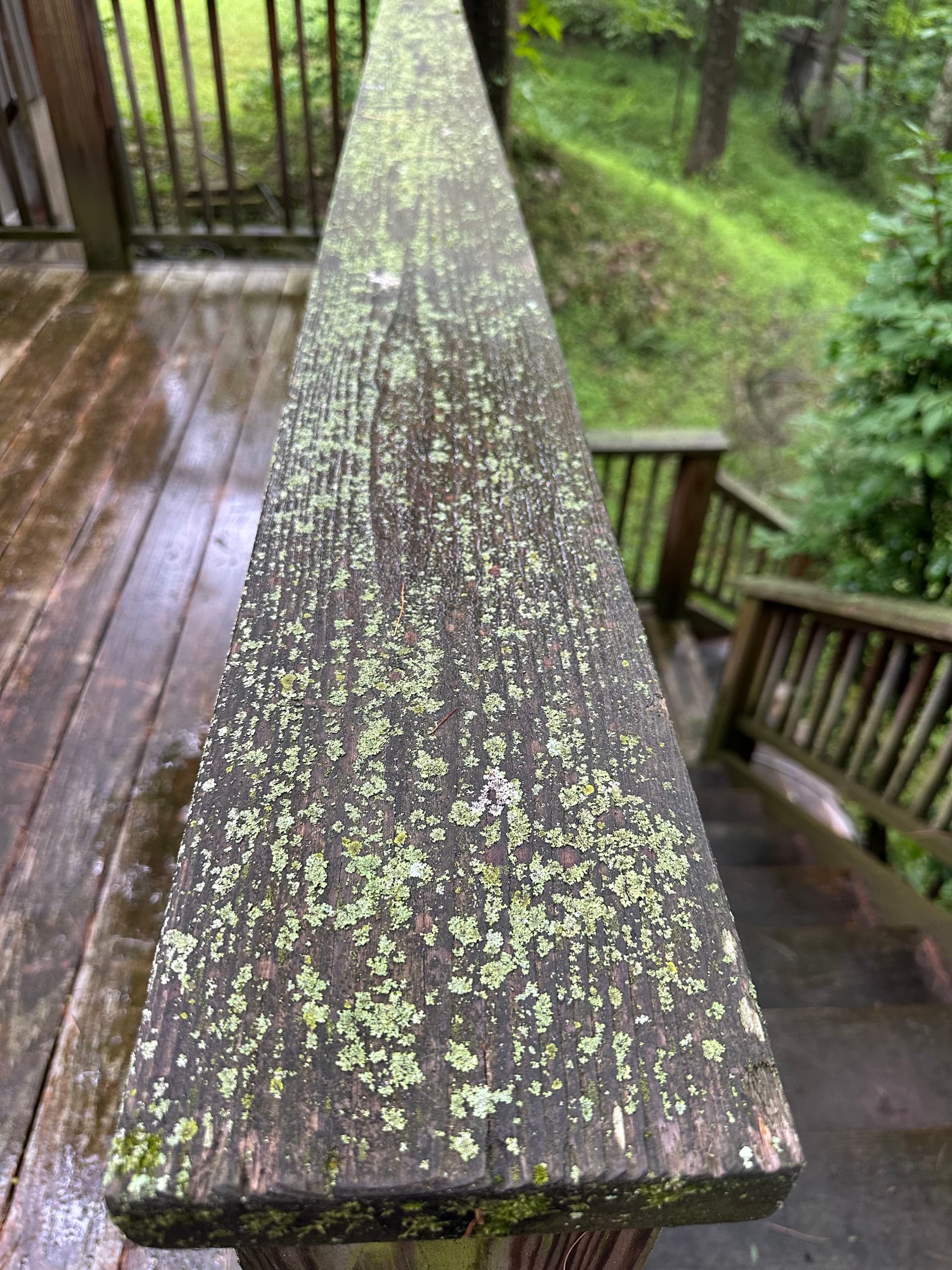 Deck Cleaning and Restoration in Nashville, IN image