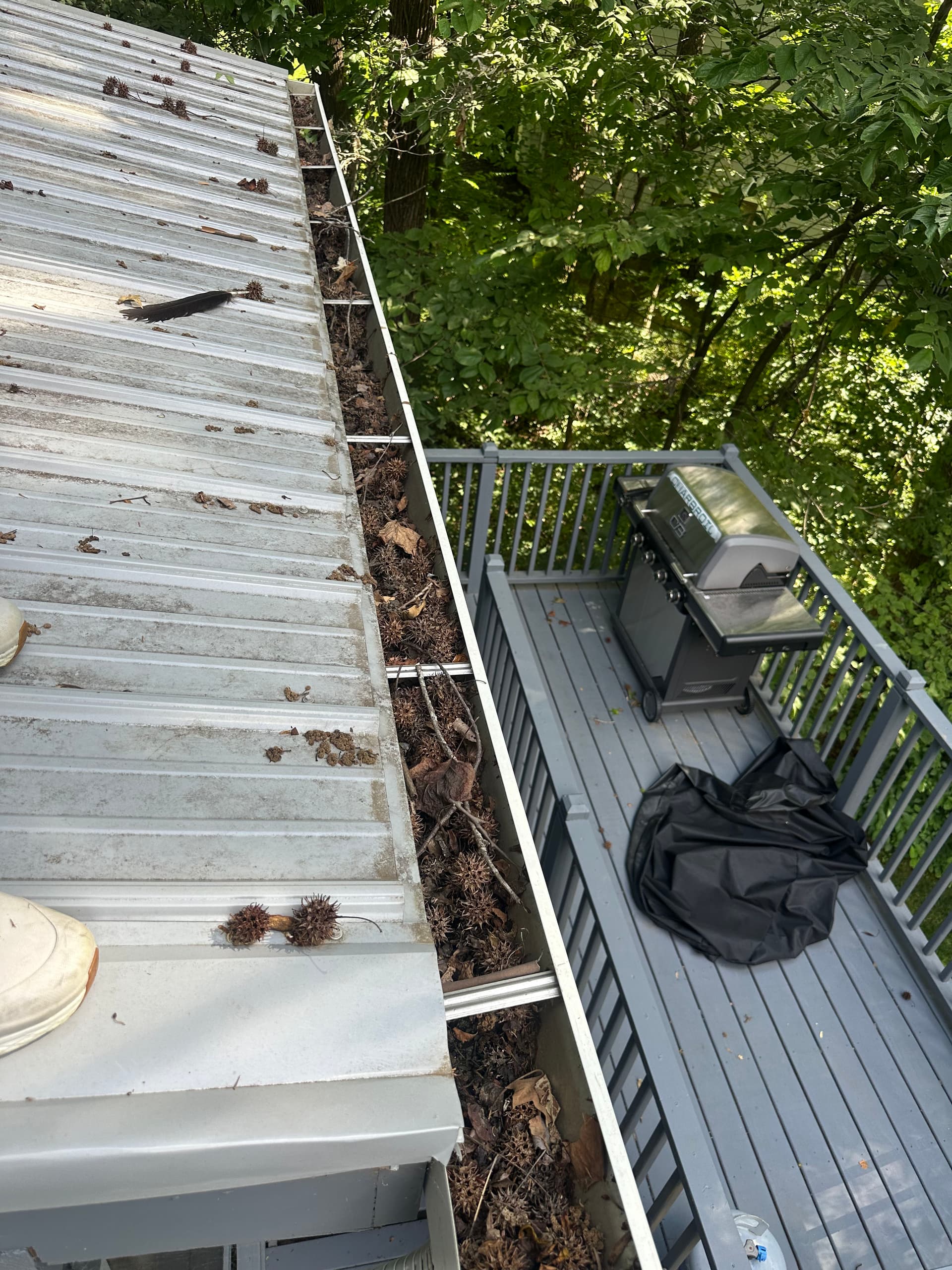 Gallery photos for Tipton Lakes Full-Property Cleaning Roof to Driveway: Image #2